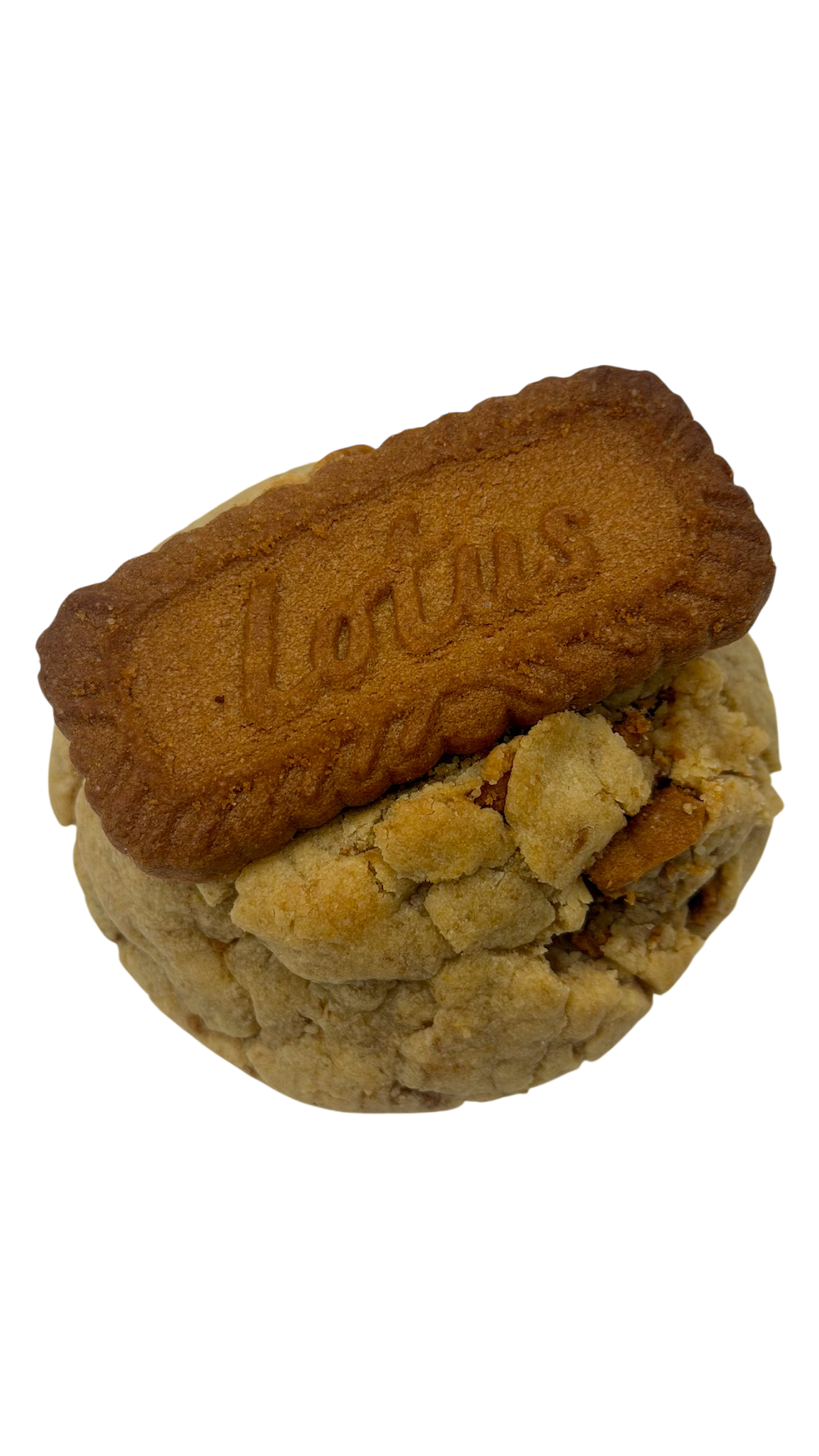 PROTEIN BISCOFF