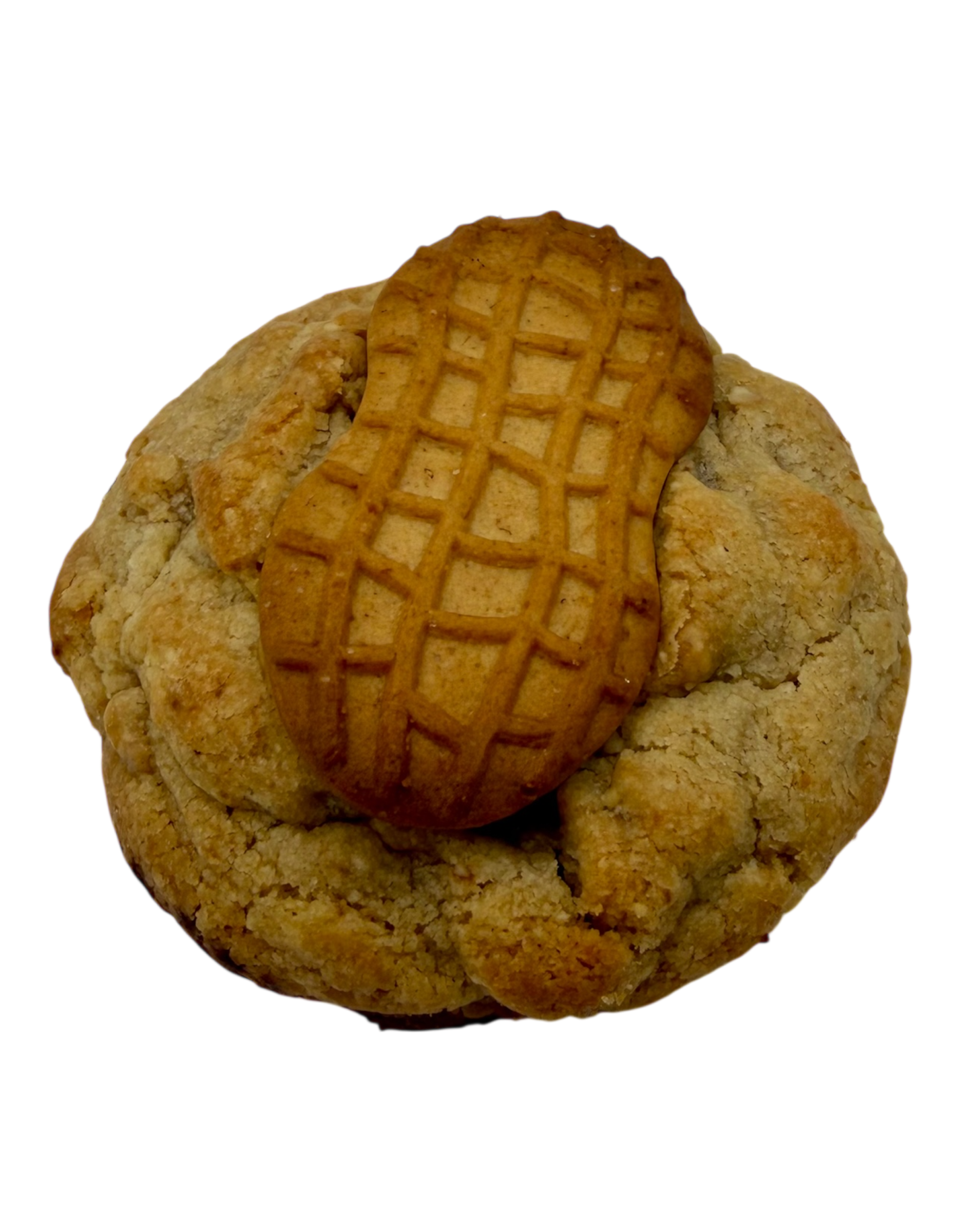 PROTEIN NUTTER BUTTER