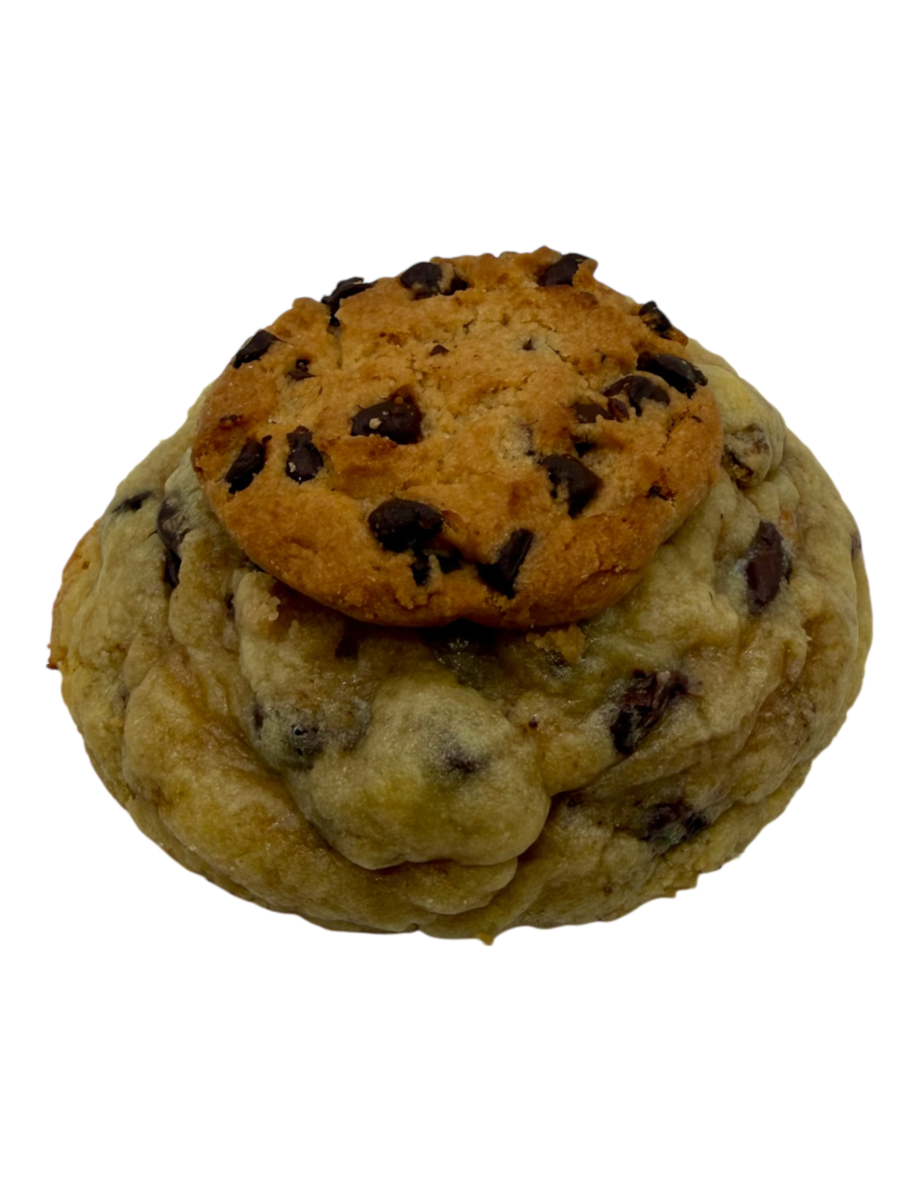 PROTIEN CHOCOLATE CHIP