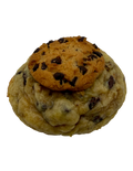 SUGAR FREE CHOCOLATE CHIP PROTEIN COOKIE